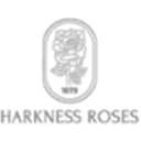 Harkness Roses